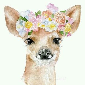 Meet your Posher, Connie